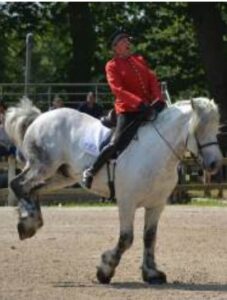 Lire la suite à propos de l’article Spectacle Equestre au Haras du Pin